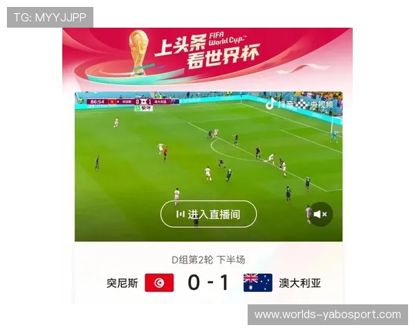 2026年世界杯突尼斯与荷兰比赛观赛安全注意事项及入场指南